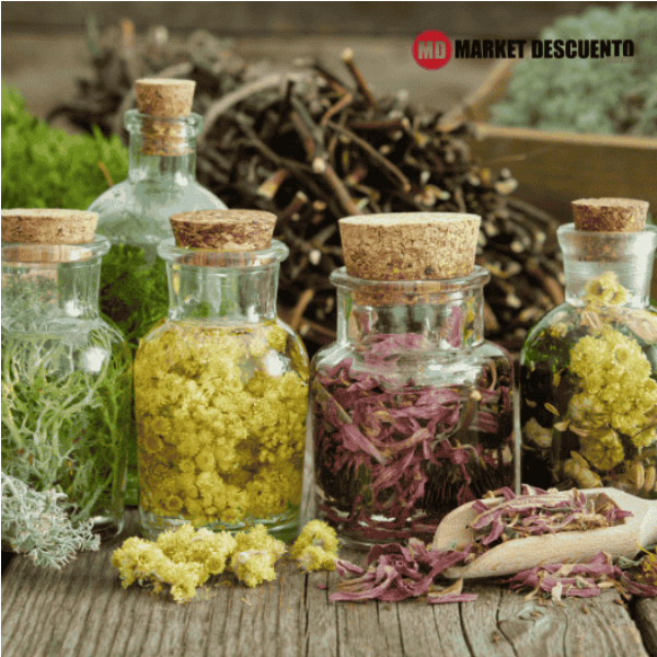Plantas Medicinales y Hierbas Aromáticas