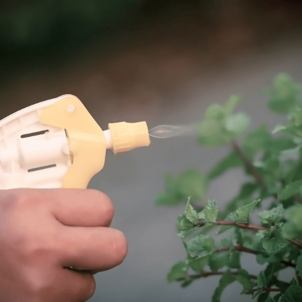 Repelentes e insecticidas